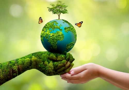 environment
